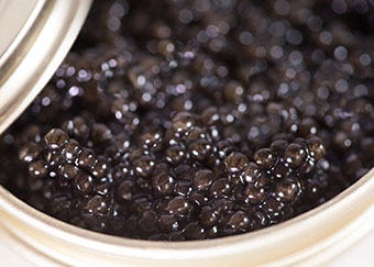 Caviar